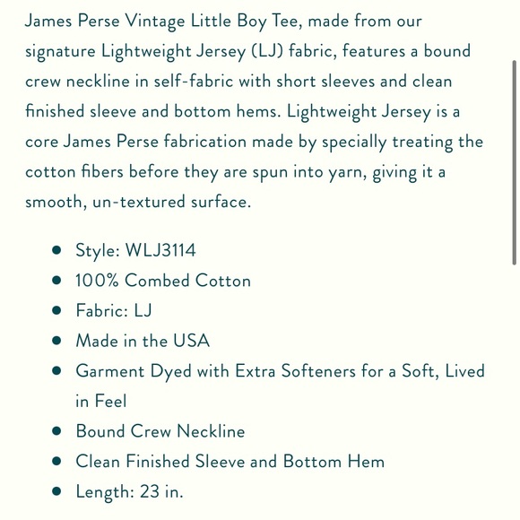 James Perse Vintage Little Boy Tee - Picture 11 of 14